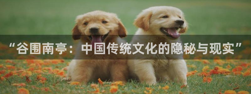 歪歪漫画首页免费看：“谷围南亭：中国传统文化的隐秘与现实”